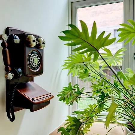 Appartement Rustic Home, Gildi Str